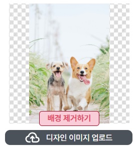 背景除去前 - アップロードした犬2匹の写真に元の背景がそのまま残っている状態